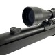 P6 Workshop Full Upgrade Bar10 G-spec with scope - 