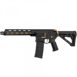 Zion Arms R15 Mod 1 - Noir / Or - 