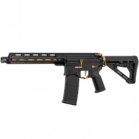 Zion Arms R15 Mod 1 - Black / Gold - 