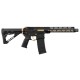 Zion Arms R15 Mod 1 - Black / Gold - 