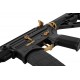 Zion Arms R15 Mod 1 - Black / Gold - 