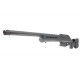 ARES Amoeba Réplique sniper Striker Tactical AST-01 - Noir - 